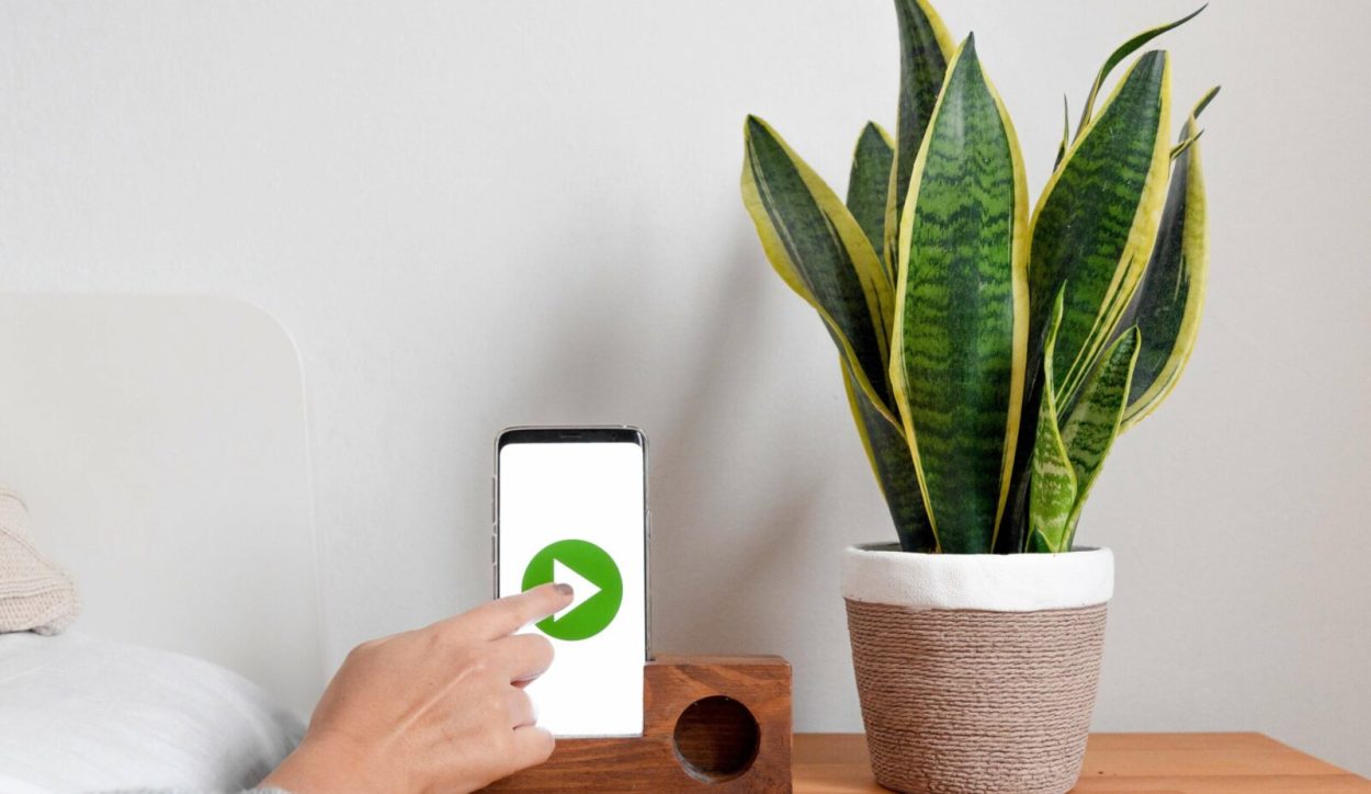 pexels-marko-klaric-6408286 (1)