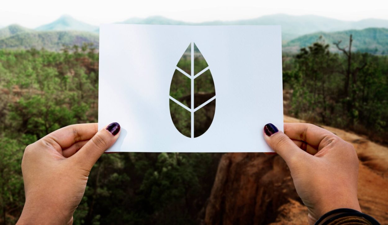 save-world-ecology-environmental-conservation-perforated-paper-leaf (1)