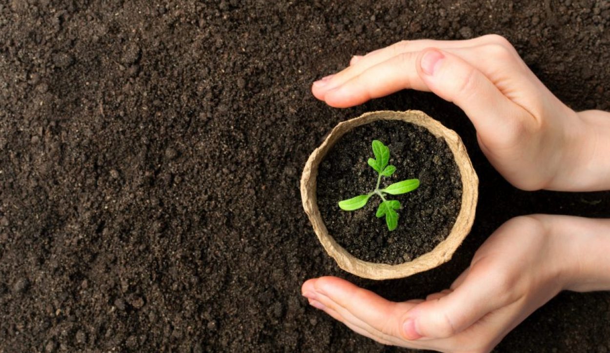 shutterstock_1712129335-scaled-e1618330191615